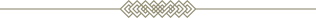 Seperator Icon